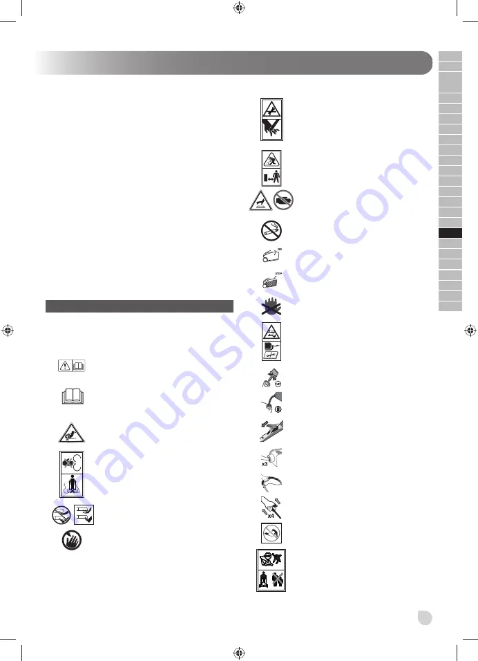 Ryobi RLM53190YV Скачать руководство пользователя страница 237