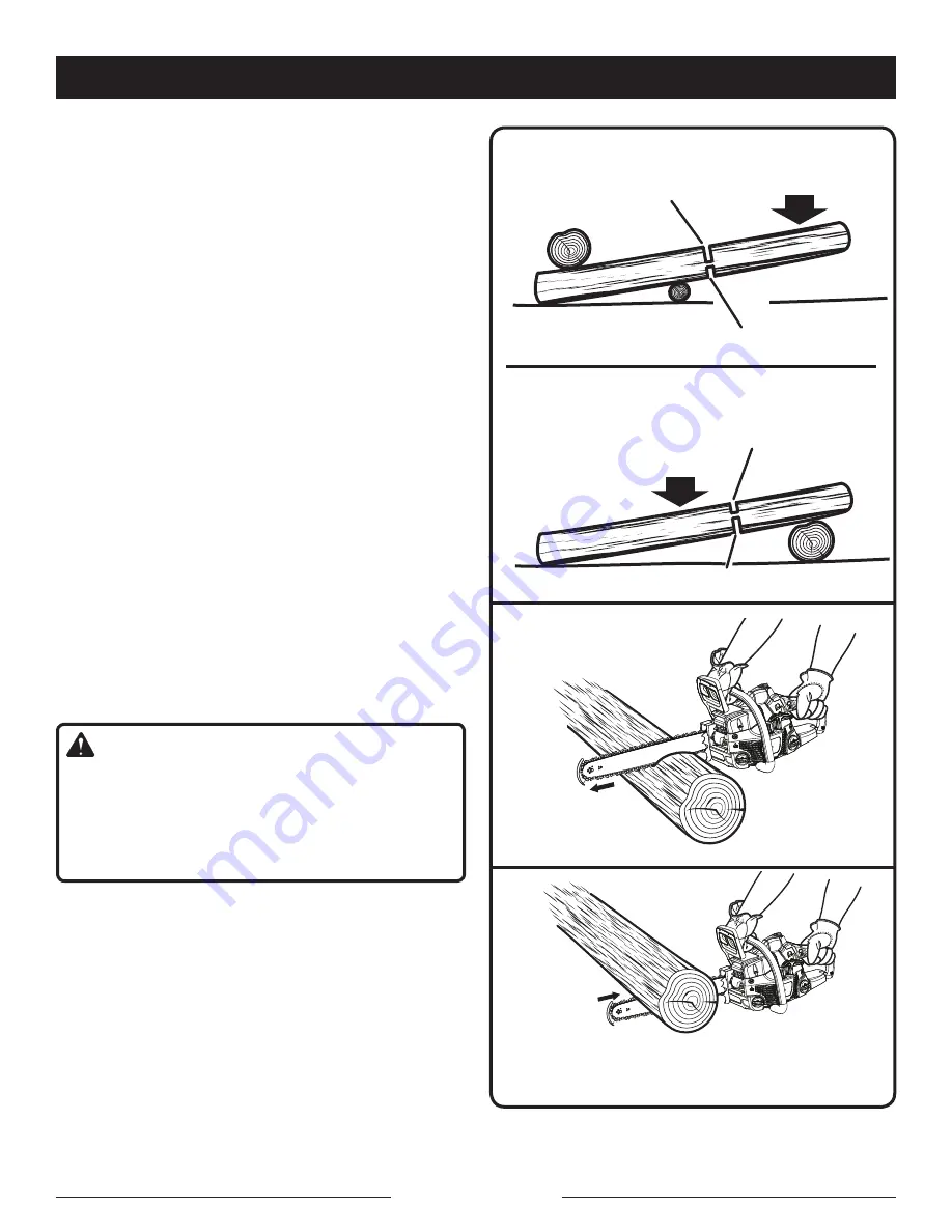 Ryobi RY10519B Скачать руководство пользователя страница 22