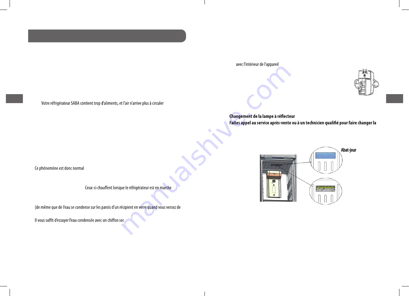 Saba DP3716NFWDIX Manual Download Page 10