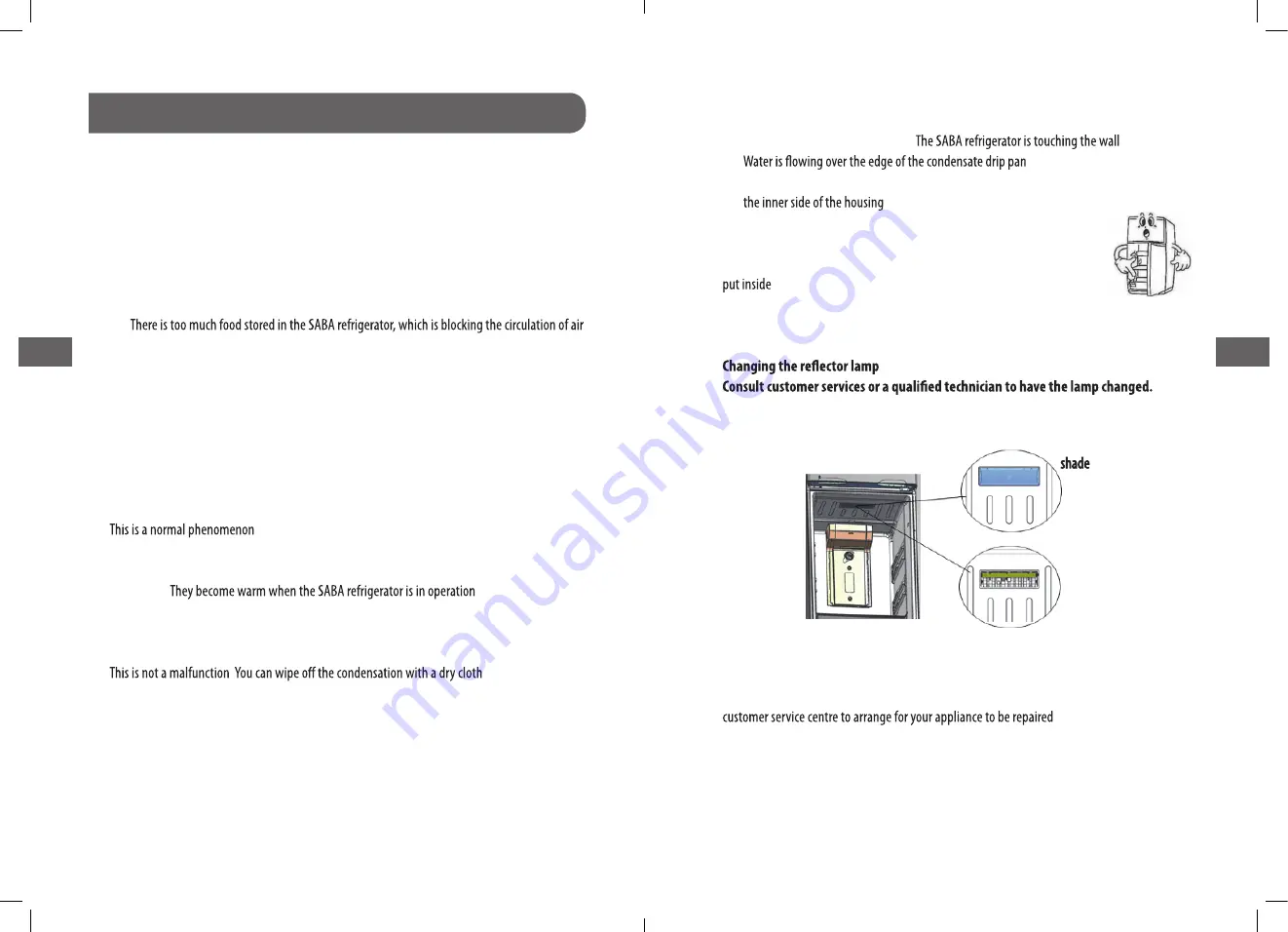 Saba DP3716NFWDIX Manual Download Page 22