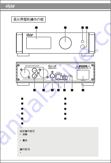 Sabaj A20d User Manual Download Page 6