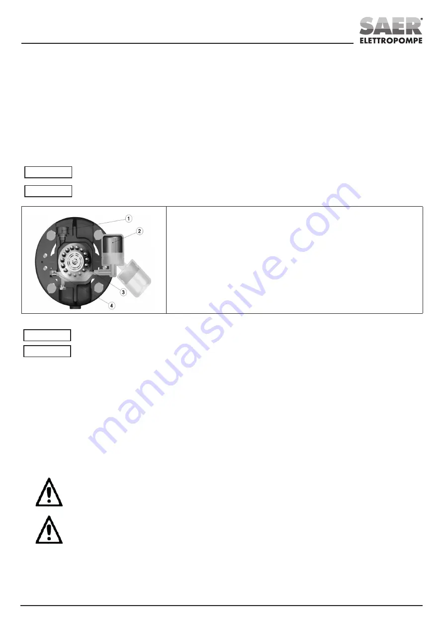 SAER Elettropompe TM Series Скачать руководство пользователя страница 39