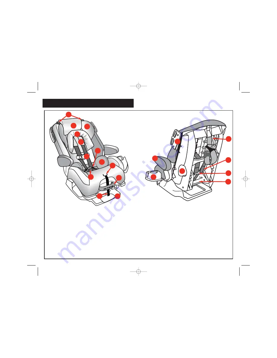 Safety 1st Alpha Omega3-in-1 Owner'S Manual Download Page 6