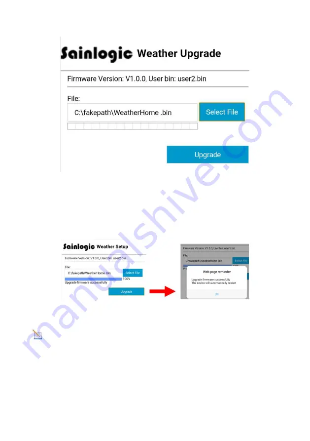 Sainlogic FT0300 Скачать руководство пользователя страница 49