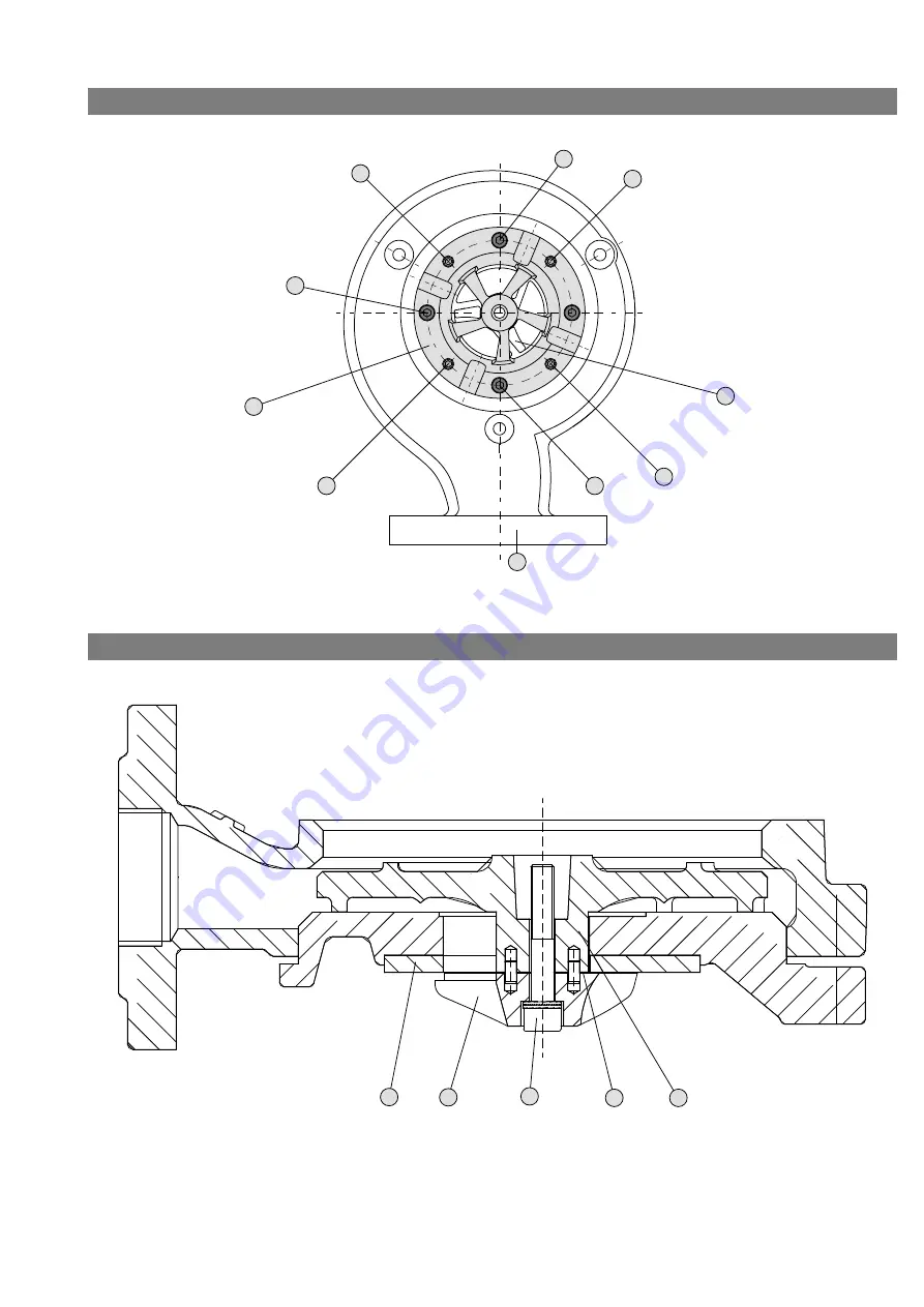 salmson Rocsan SDL Series Скачать руководство пользователя страница 5