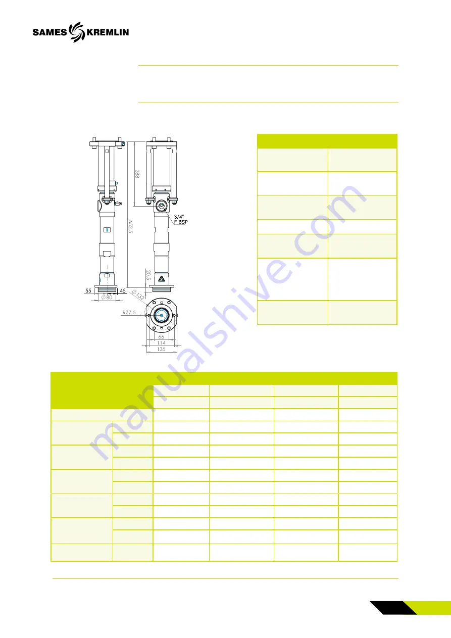 SAMES KREMLIN REXSON SH0207 Скачать руководство пользователя страница 21