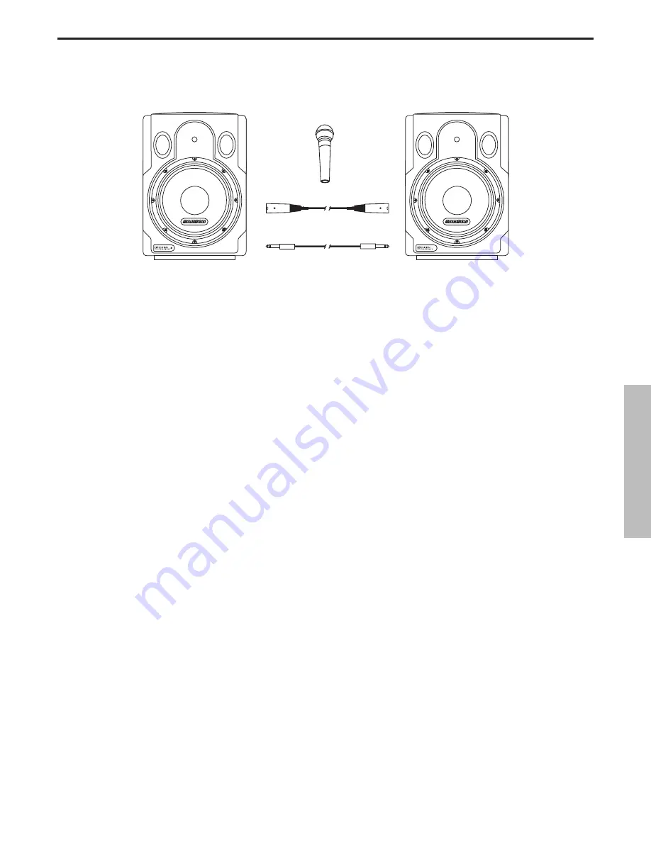 Samson PORTABLE PA SYSTEM EXL250 Owner'S Manual Download Page 41