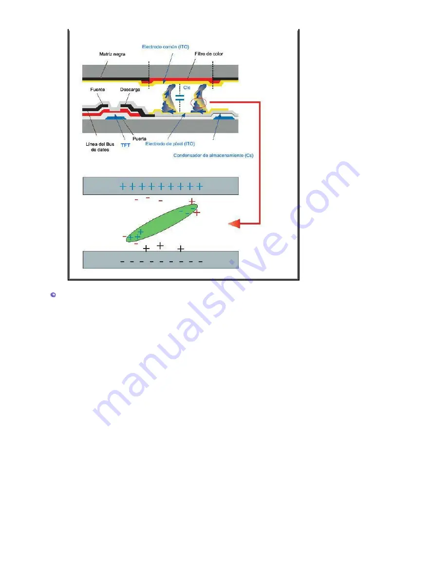 Samsung 920NW - SyncMaster - 19