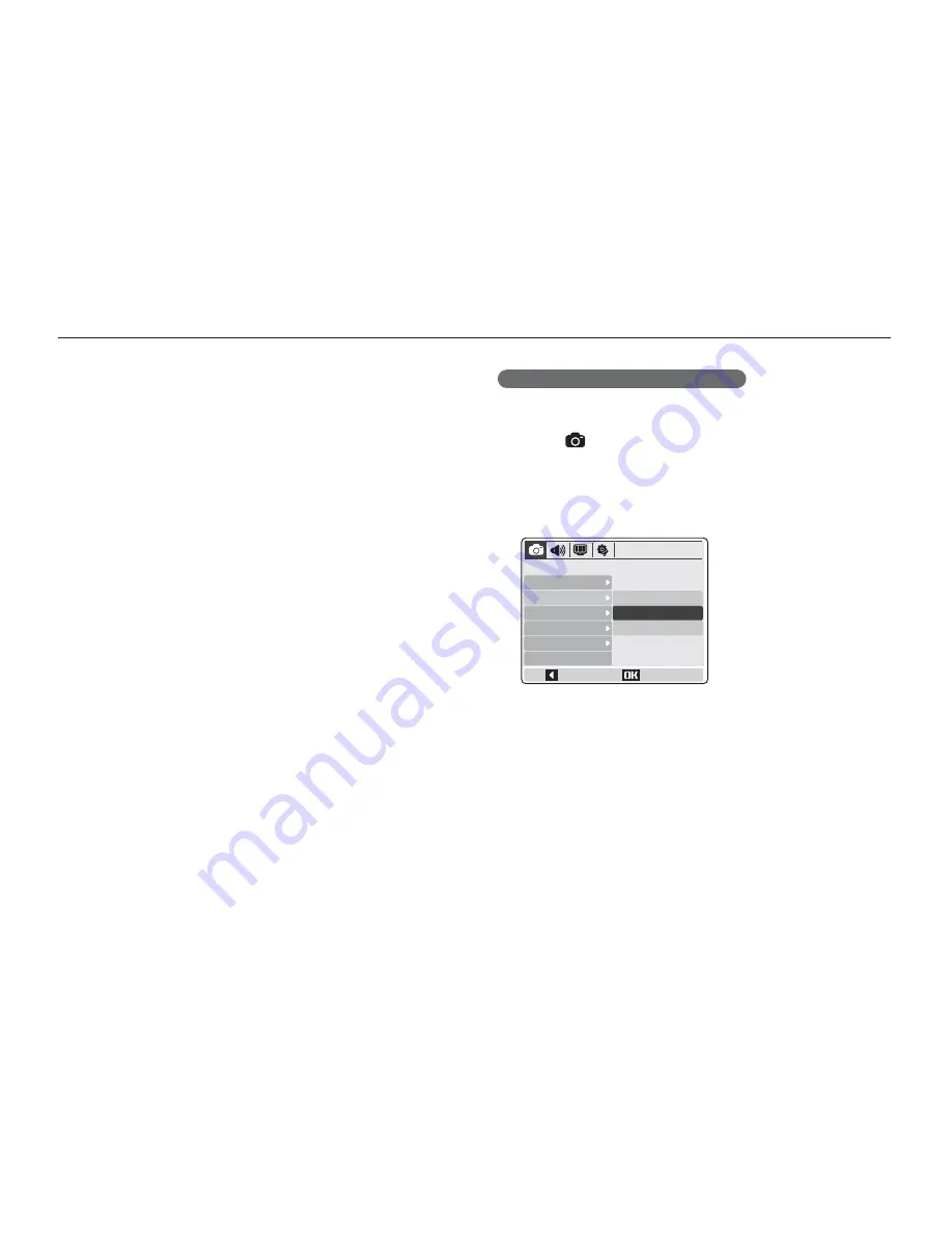 Samsung TL9 User Manual Download Page 31