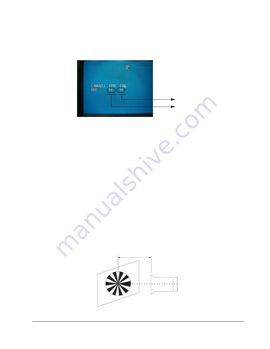 Samsung VP-D353 Скачать руководство пользователя страница 13