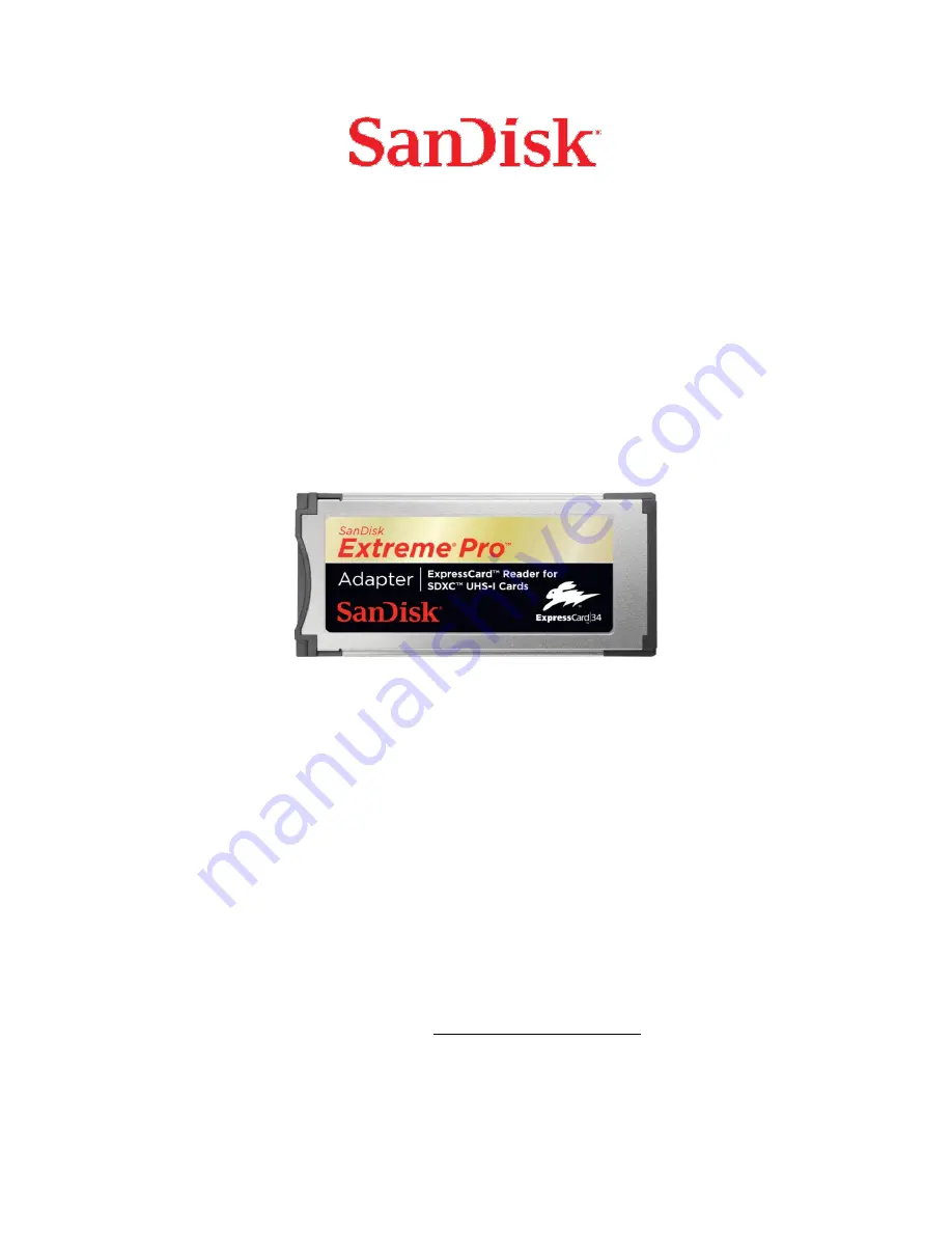 SanDisk SDDR-300 Скачать руководство пользователя страница 1