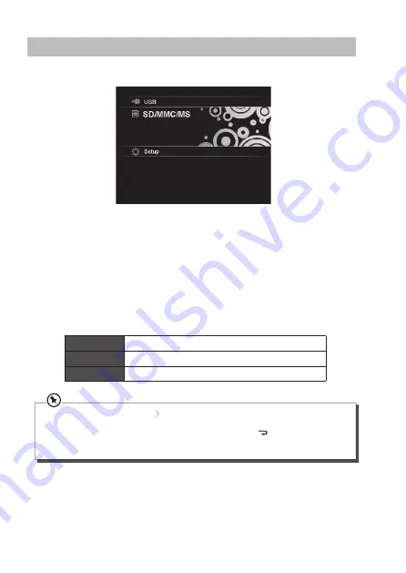 Sandstrom S10DPF11 Instruction Manual Download Page 9