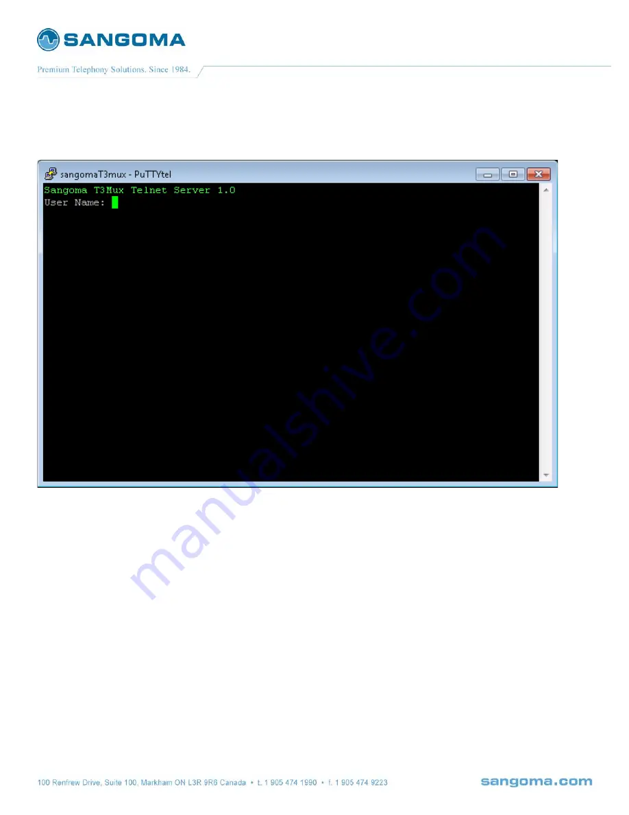 Sangoma T3 Mux M13 User Manual Download Page 11