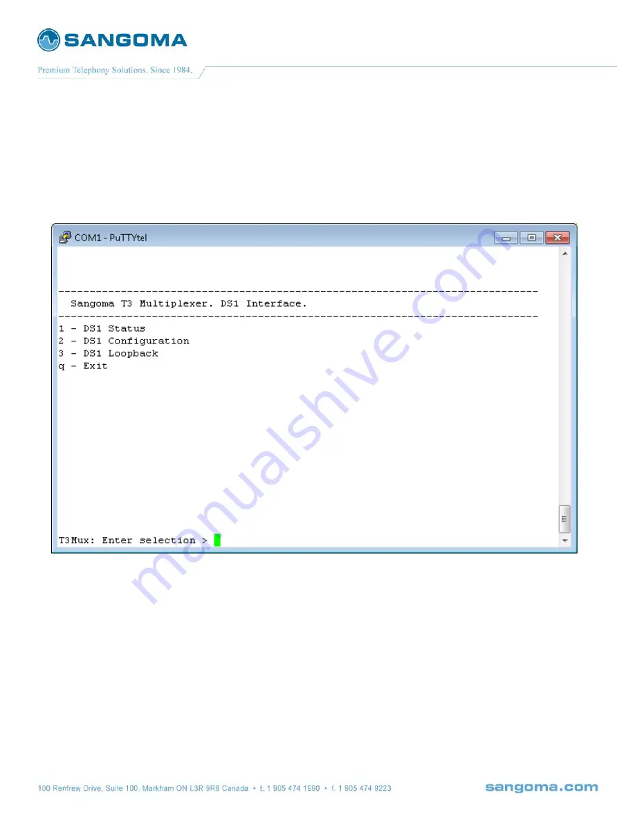 Sangoma T3 Mux M13 User Manual Download Page 19