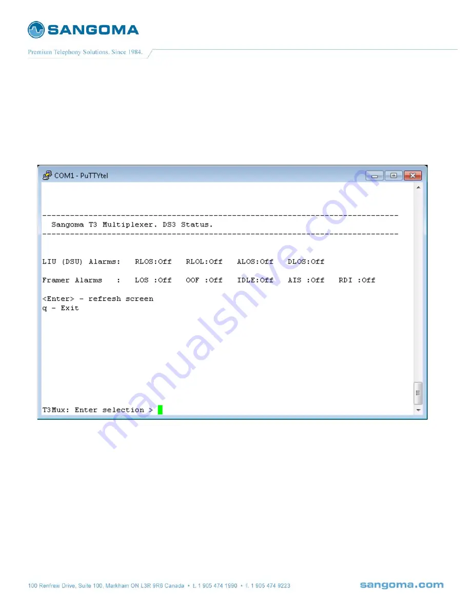 Sangoma T3 Mux M13 User Manual Download Page 25