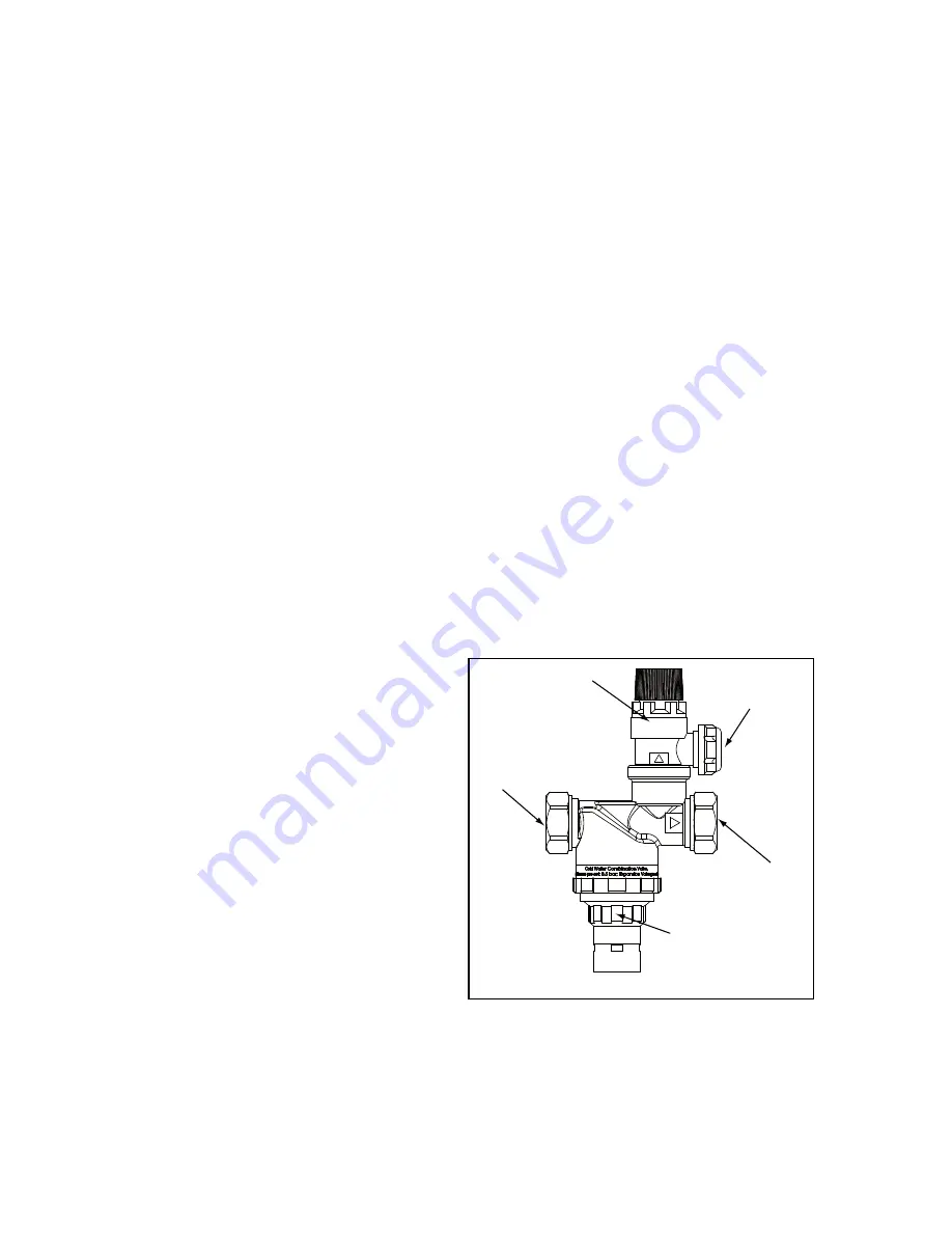 Santon PremierPlus 100 Installation And Servicing Instructions Download Page 4