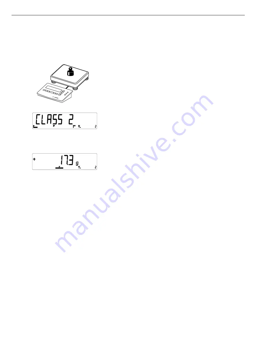 Sartorius combics 1 Operating Instructions Manual Download Page 39