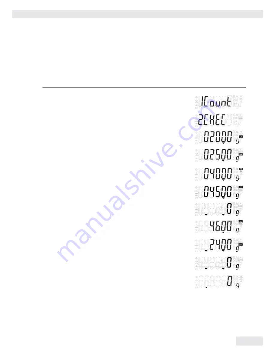 Sartorius IW2P1x-150 series Скачать руководство пользователя страница 19