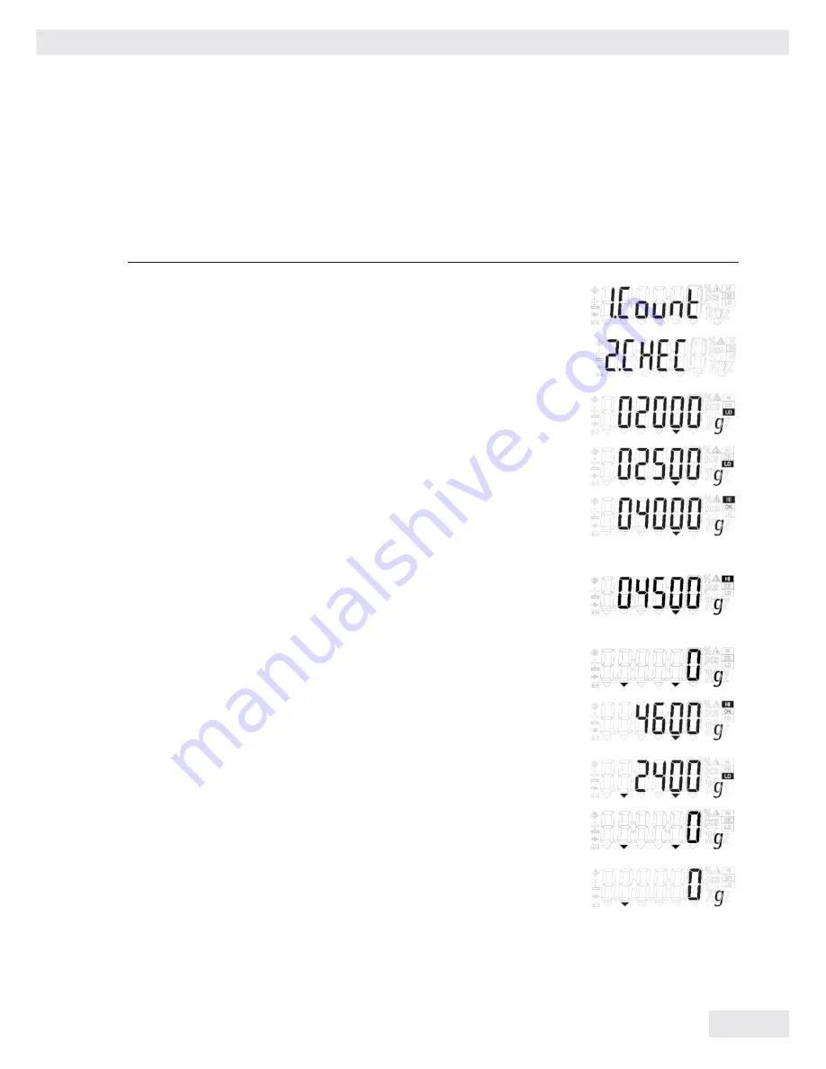 Sartorius IW2P1x-150 series Скачать руководство пользователя страница 115