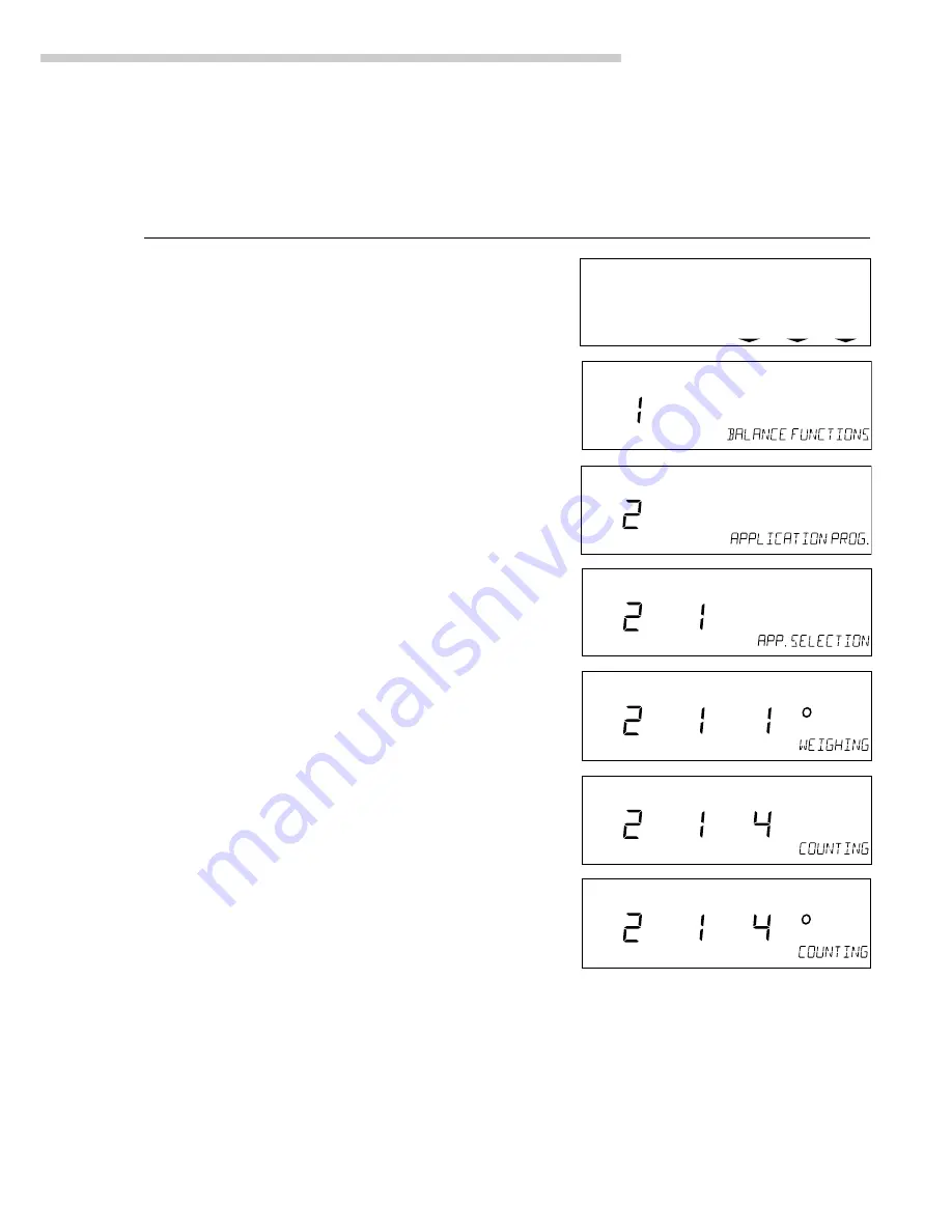 Sartorius LP Models Operating Instructions Manual Download Page 15