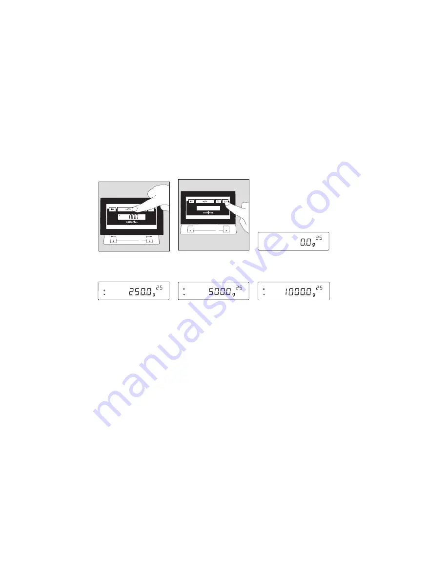 Sartorius Sartorius PMA 35D-X Скачать руководство пользователя страница 6