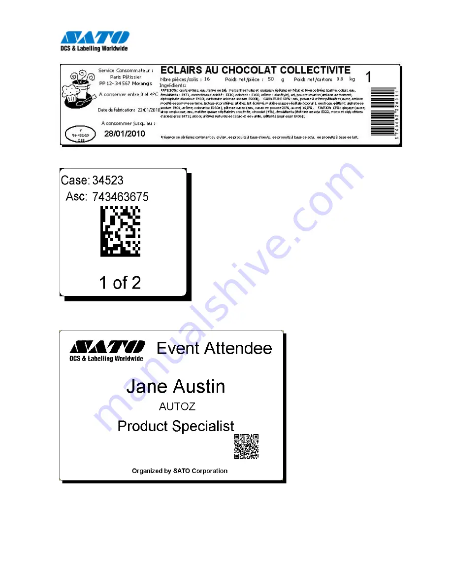 SATO CG4 Series Product Manual Download Page 12