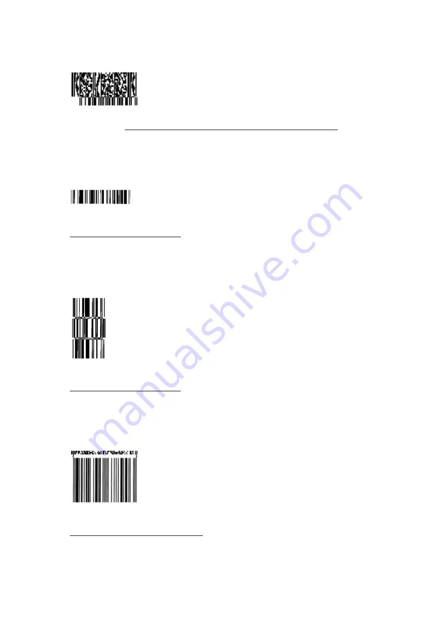 SATO SG112 ex Programming Reference Manual Download Page 207