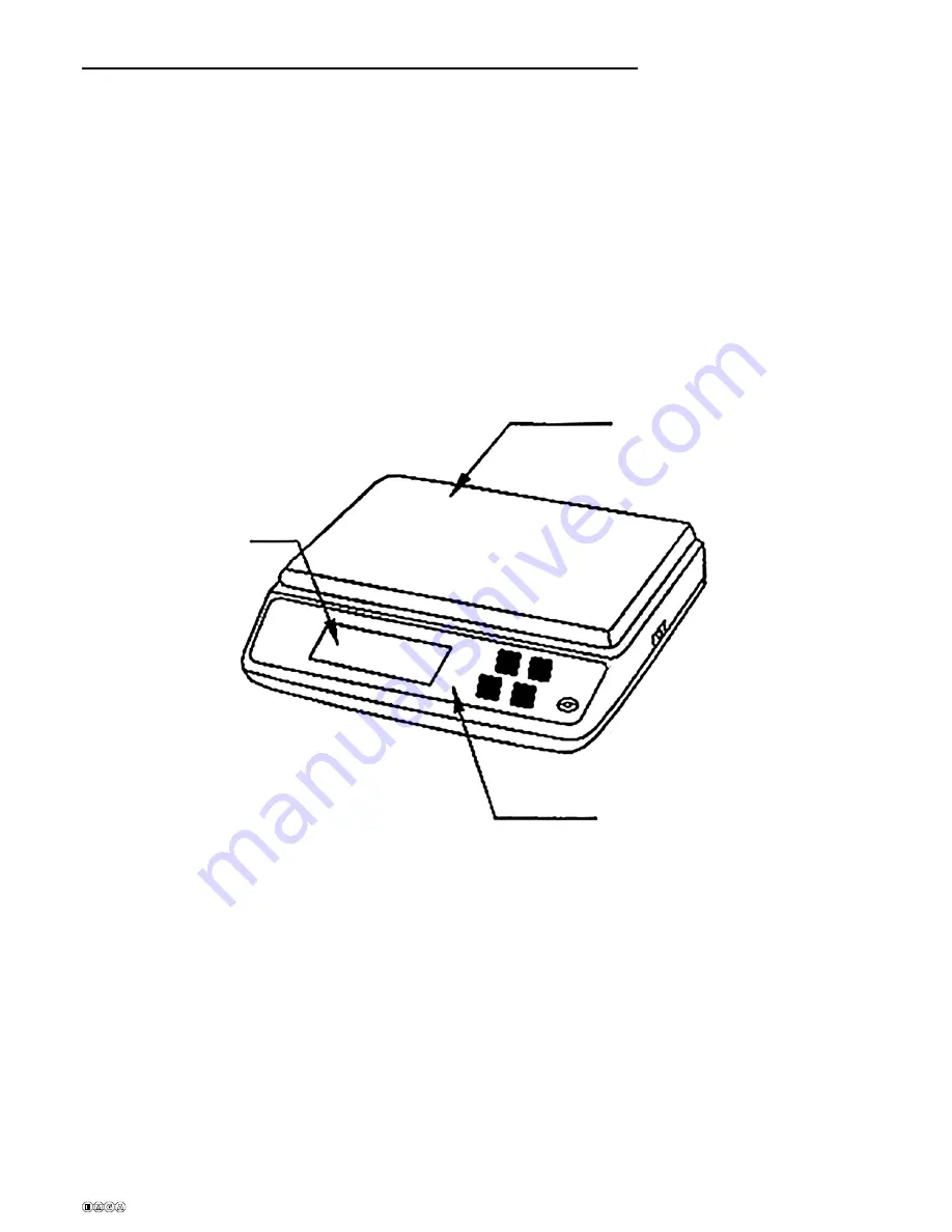 Satrue SWL series User Manual Download Page 2