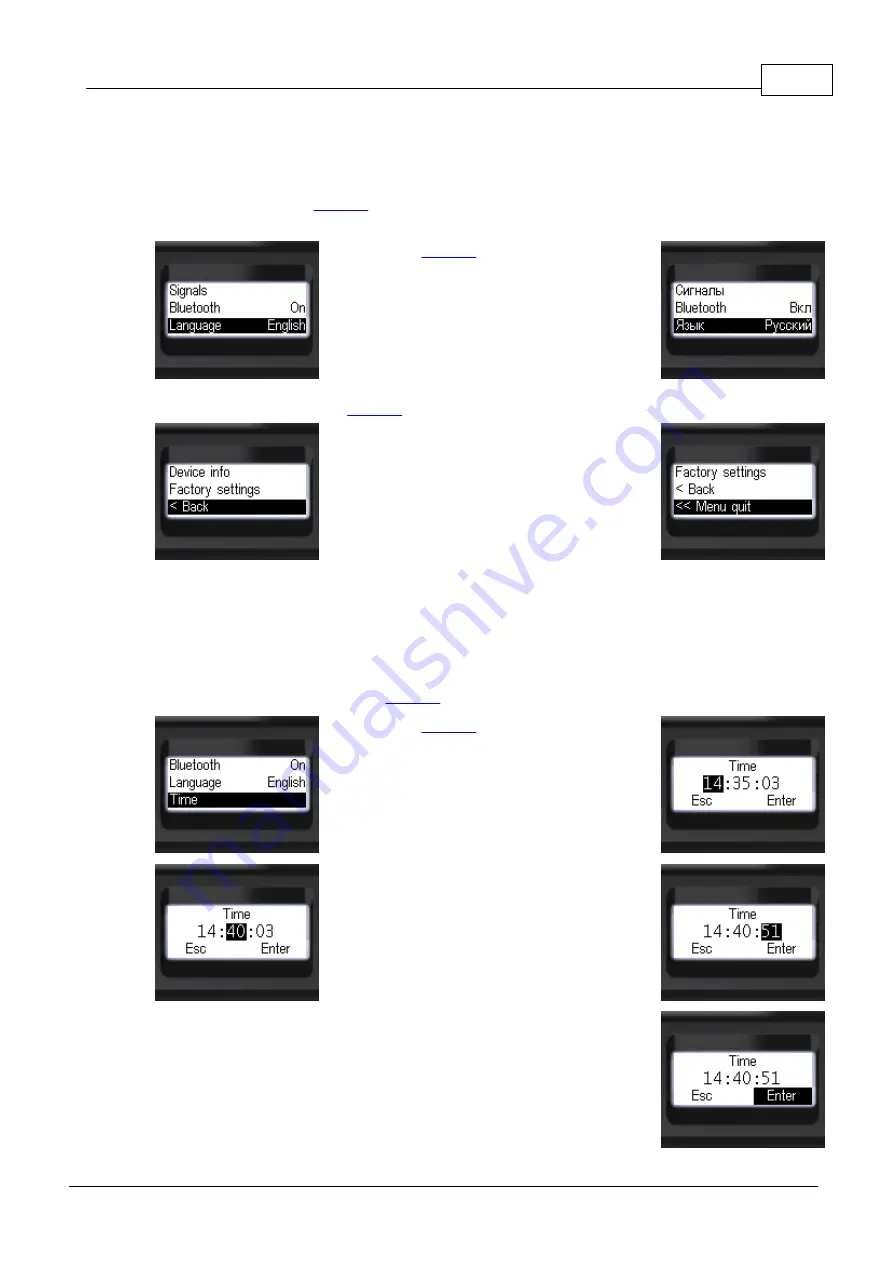 Scan-Electronics RadiaCode-101 User Manual Download Page 31