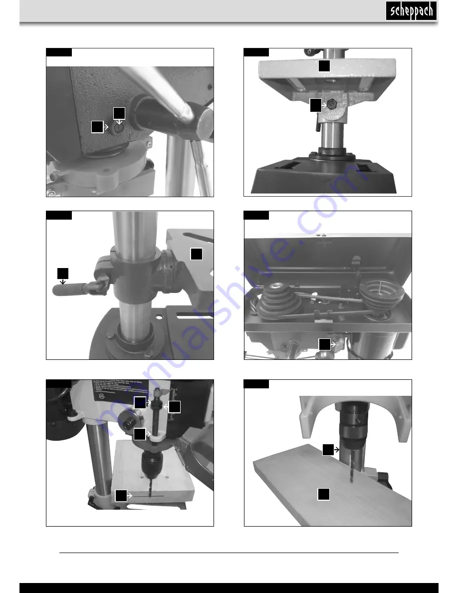 Scheppach dp13 5906805901 Скачать руководство пользователя страница 5