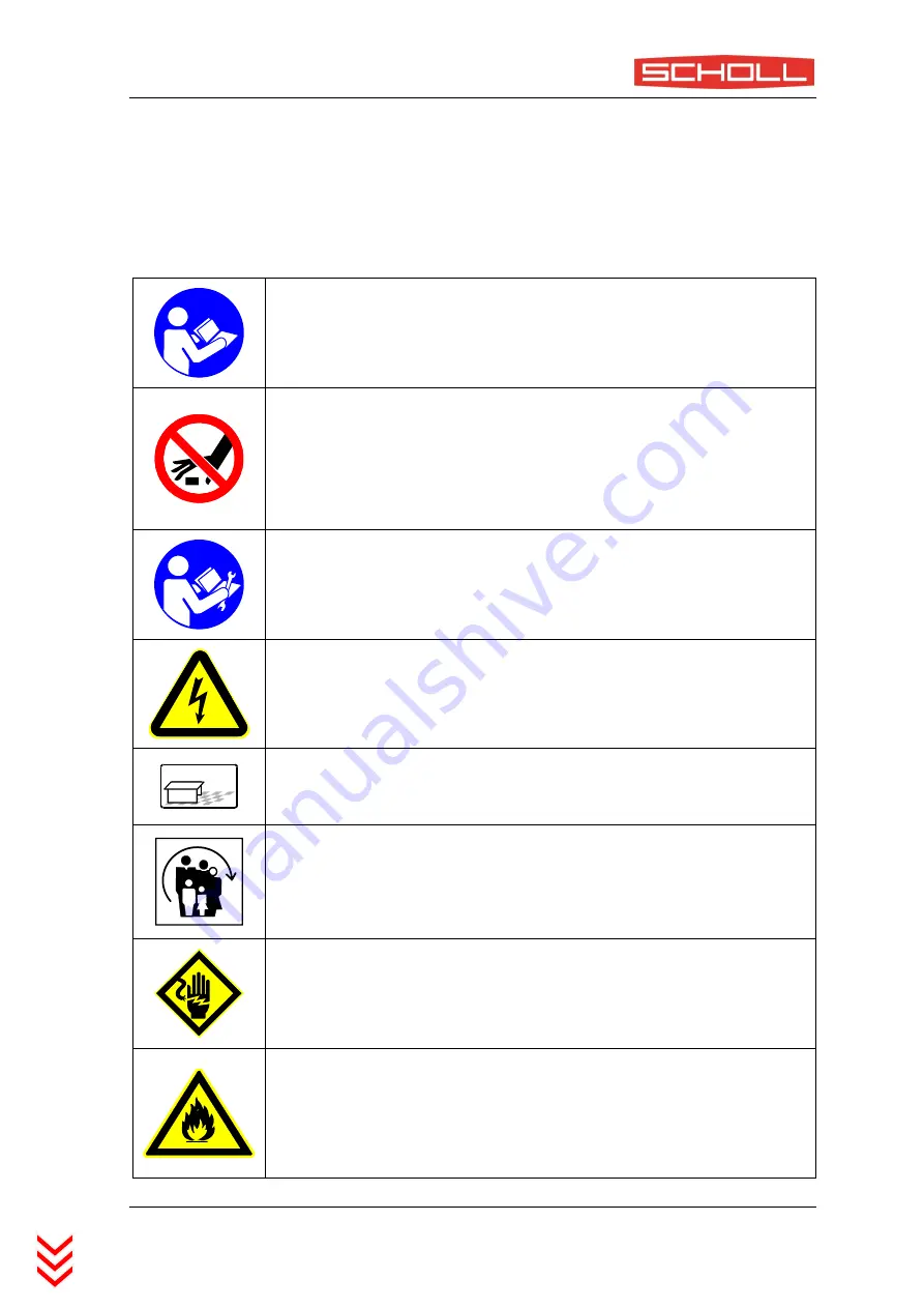 Scholl 29065/H Instructions For Use Manual Download Page 5