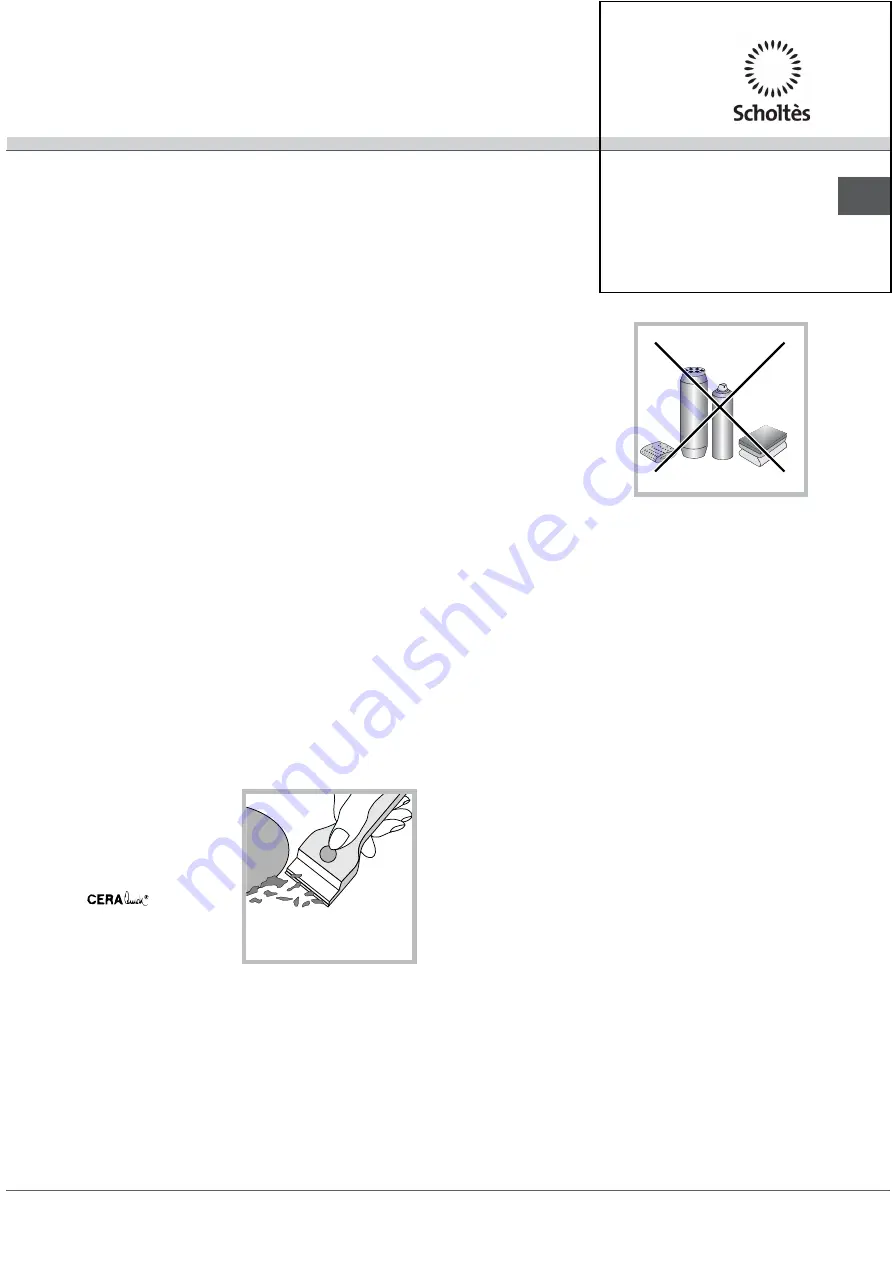 SCHOLTES TV 631 E GH Operating Instructions Manual Download Page 21