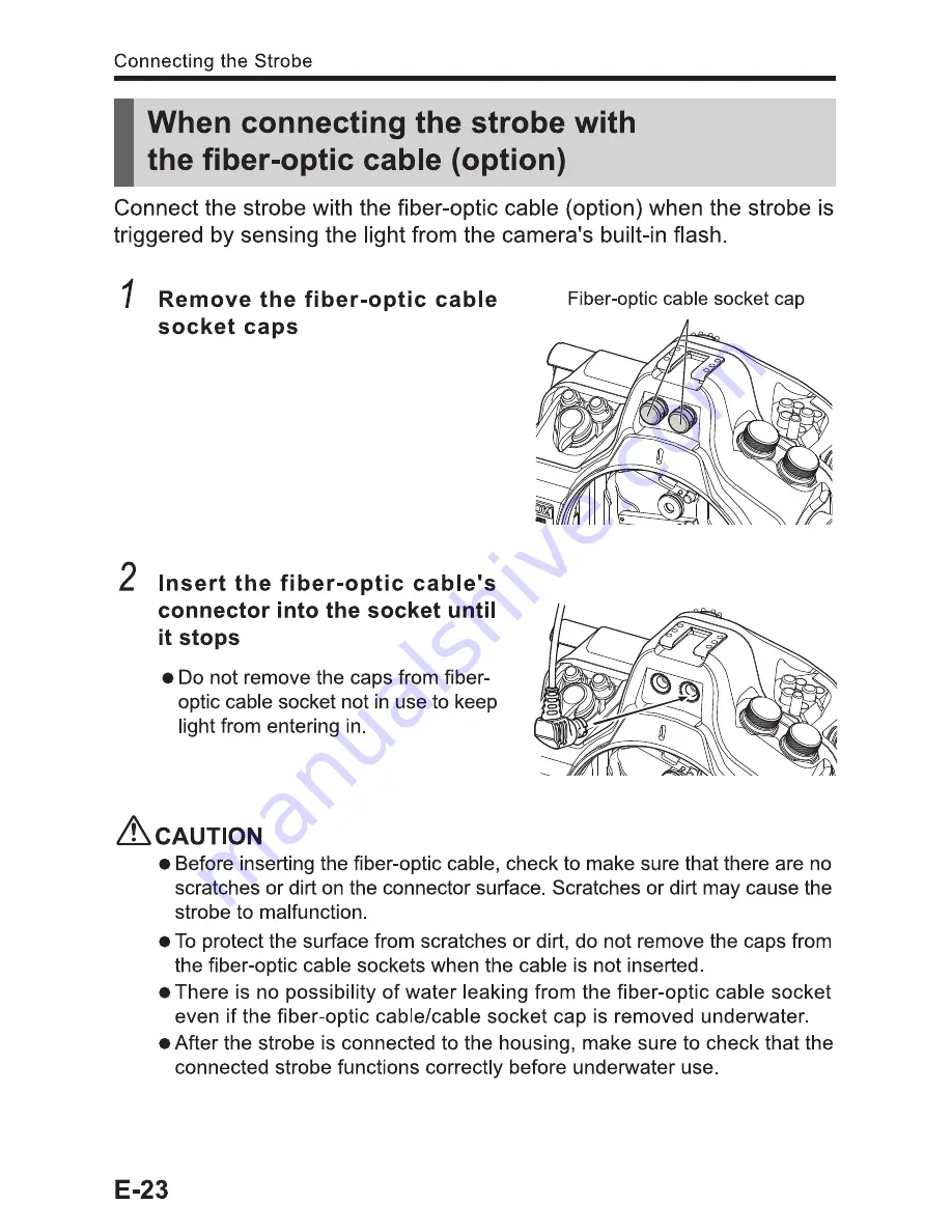 Sea & Sea MDX-D300s Instruction Manual Download Page 24