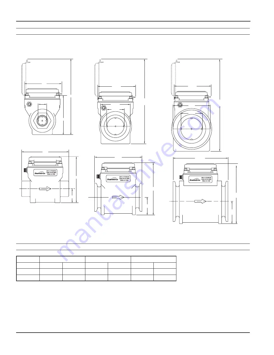 Seametrics WMP Series Скачать руководство пользователя страница 4