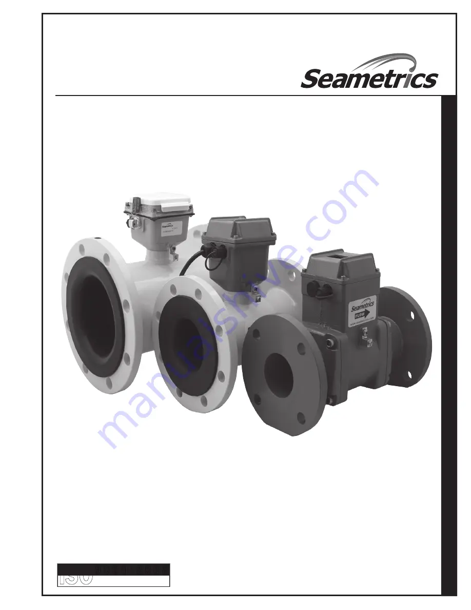 Seametrics WMX SERIES Instructions Manual Download Page 1