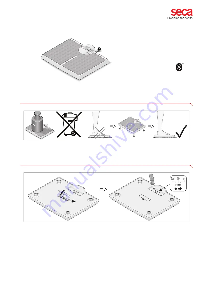 Seca Robusta 813 bt Instructions For Use Manual Download Page 1