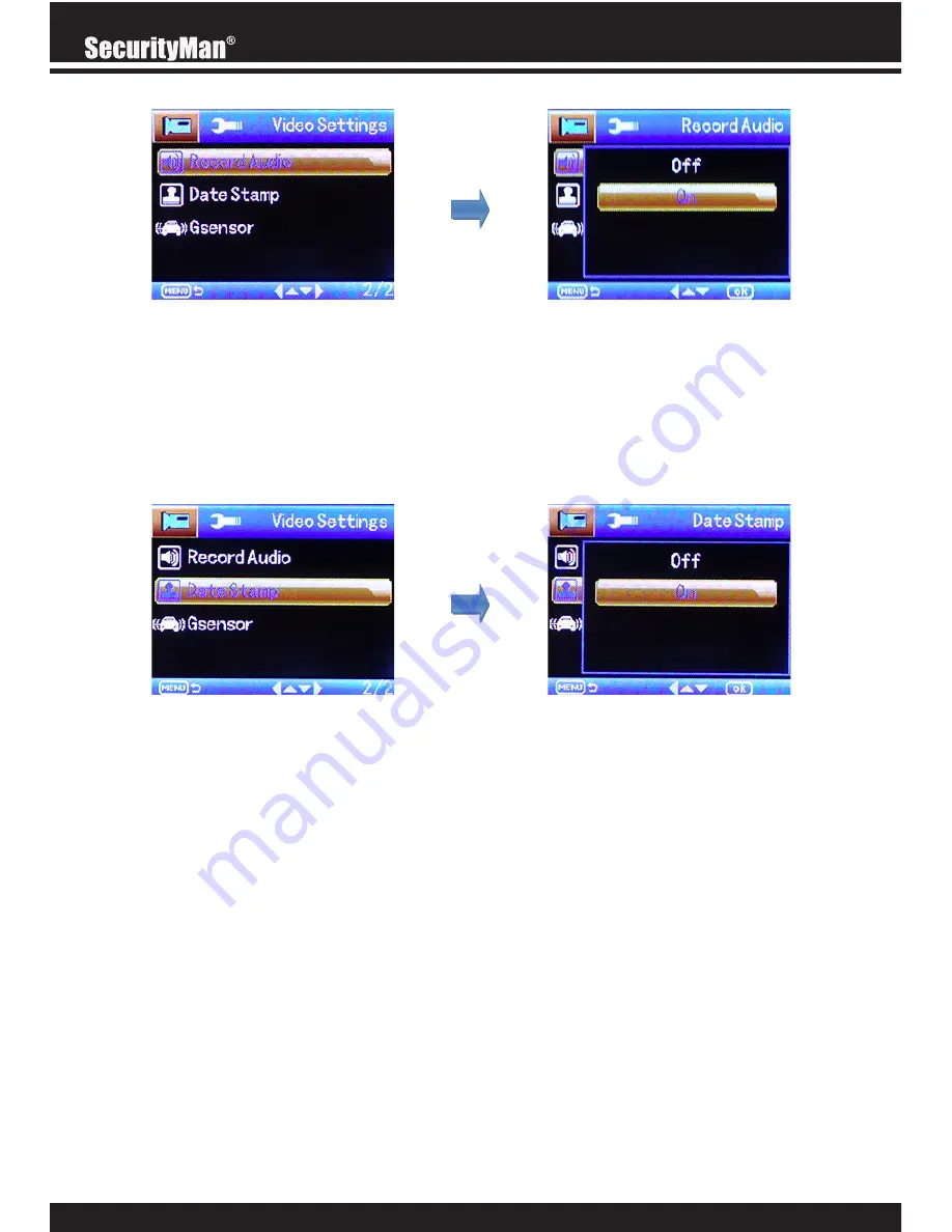 SecurityMan Carcam-SDE Скачать руководство пользователя страница 20