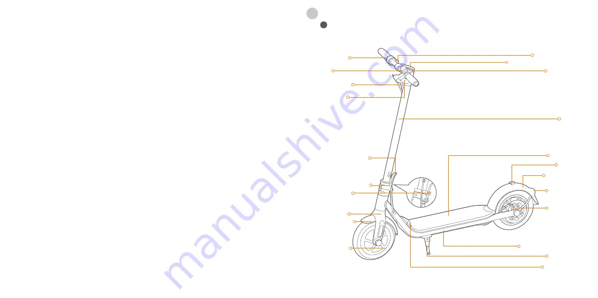 Segway Ninebot KickScooter F25 Скачать руководство пользователя страница 2