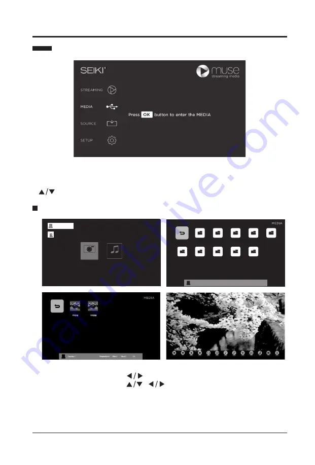 Seiki ELSFC5017 Manual Download Page 13