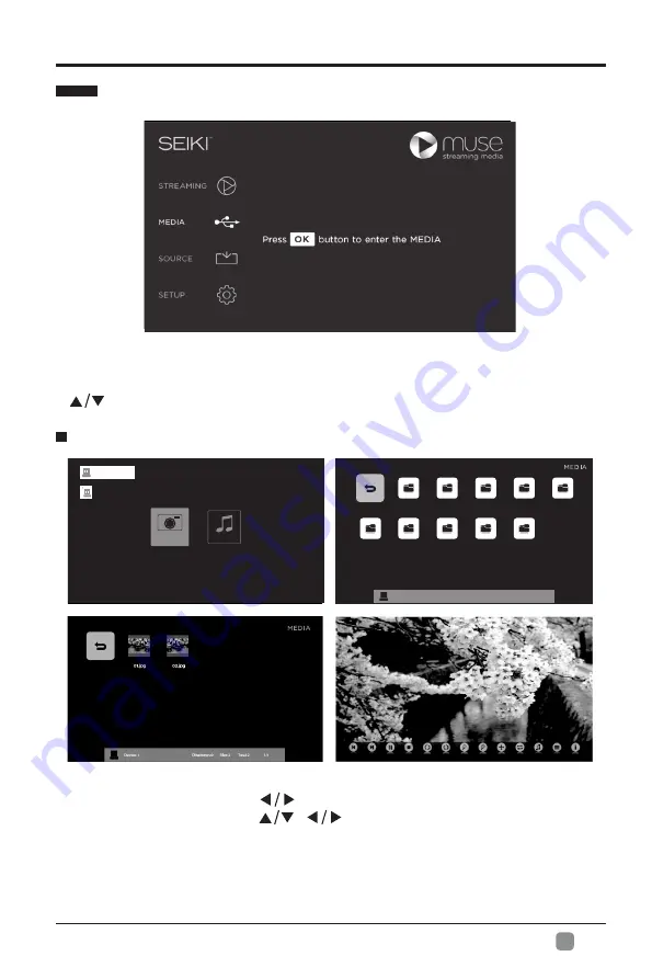 Seiki SE40FY19B User Manual Download Page 14