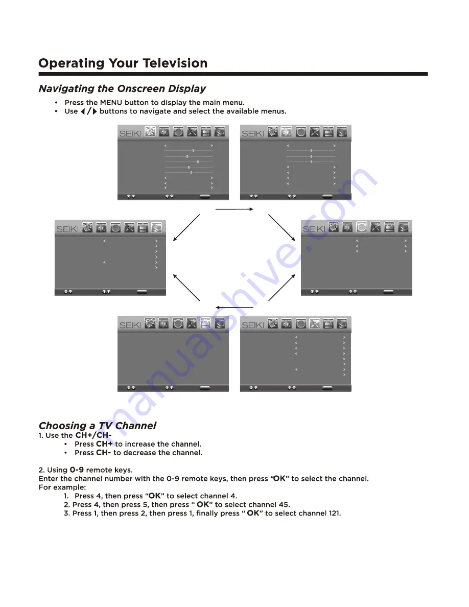 Seiki SE551GS User Manual Download Page 14