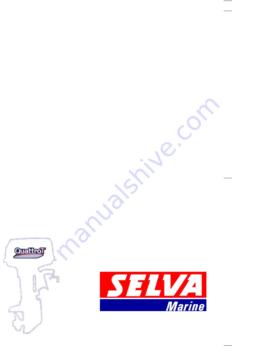 SELVA MARINE Blue Whale 250 EFI Service Manual Download Page 1