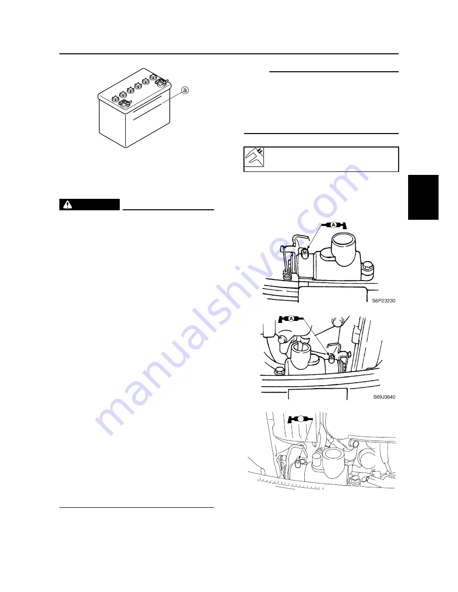 SELVA MARINE Blue Whale 250 EFI Service Manual Download Page 81