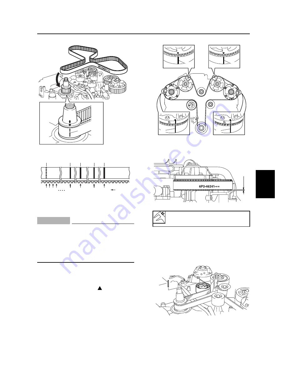 SELVA MARINE Blue Whale 250 EFI Service Manual Download Page 131