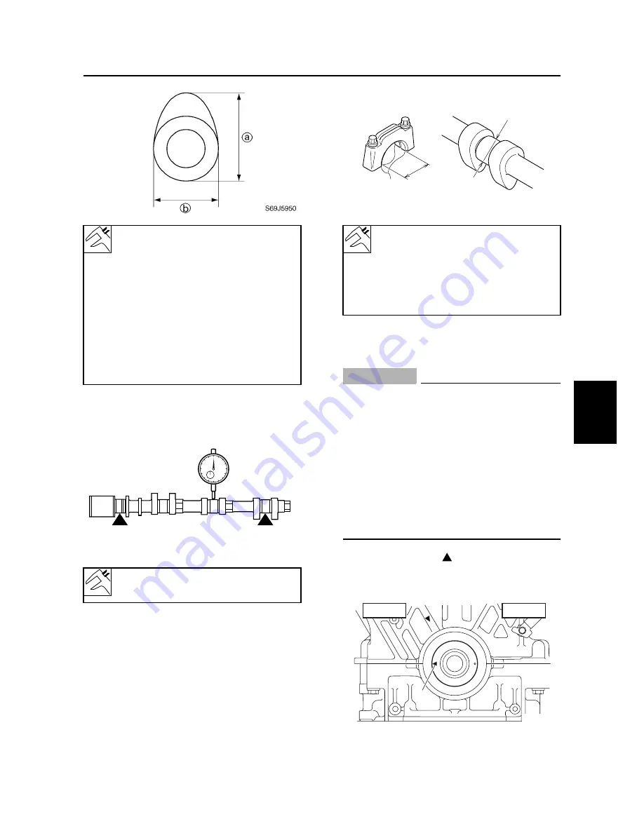 SELVA MARINE Blue Whale 250 EFI Service Manual Download Page 141