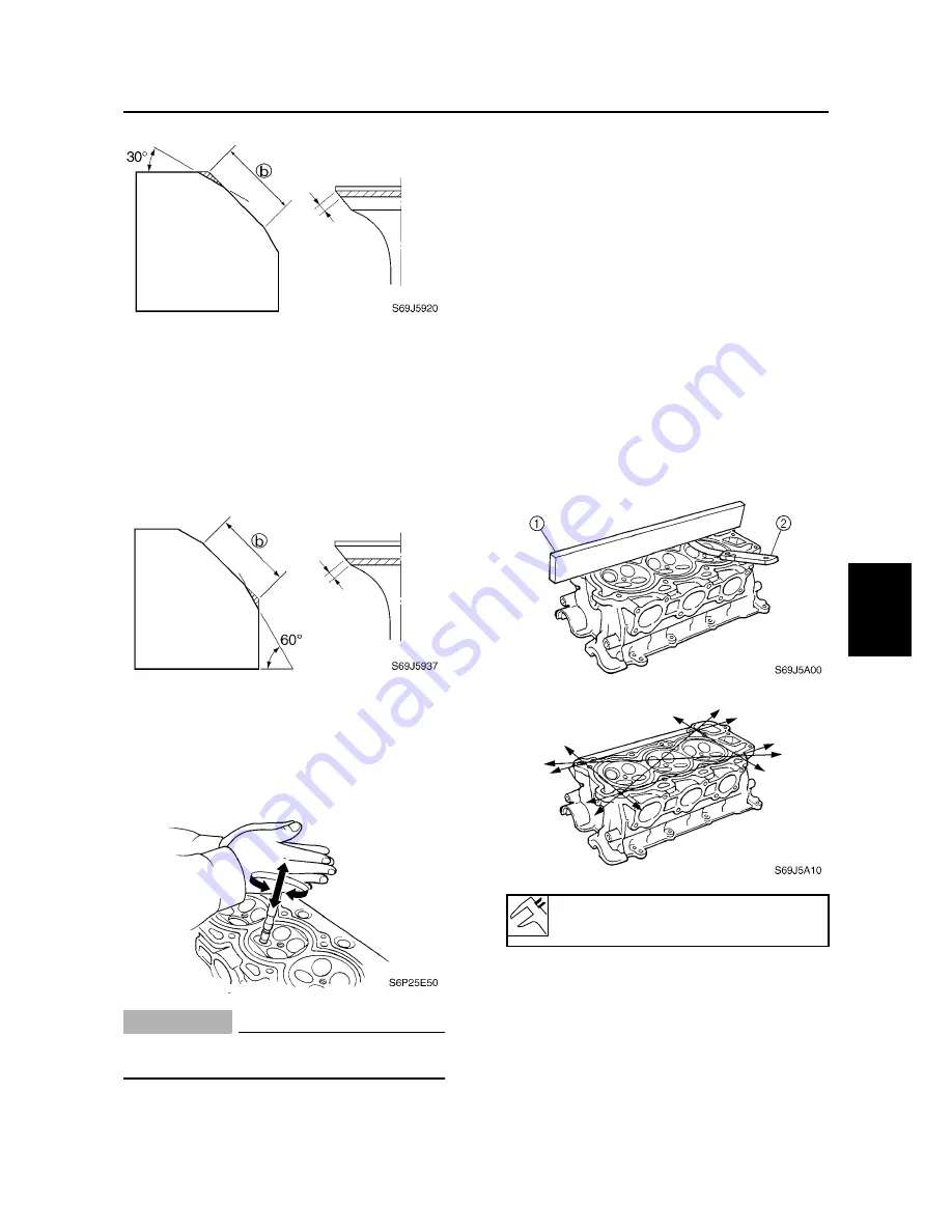 SELVA MARINE Blue Whale 250 EFI Service Manual Download Page 161