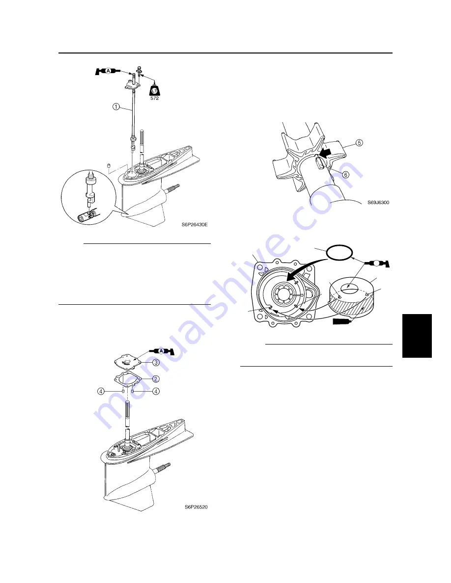 SELVA MARINE Blue Whale 250 EFI Service Manual Download Page 241