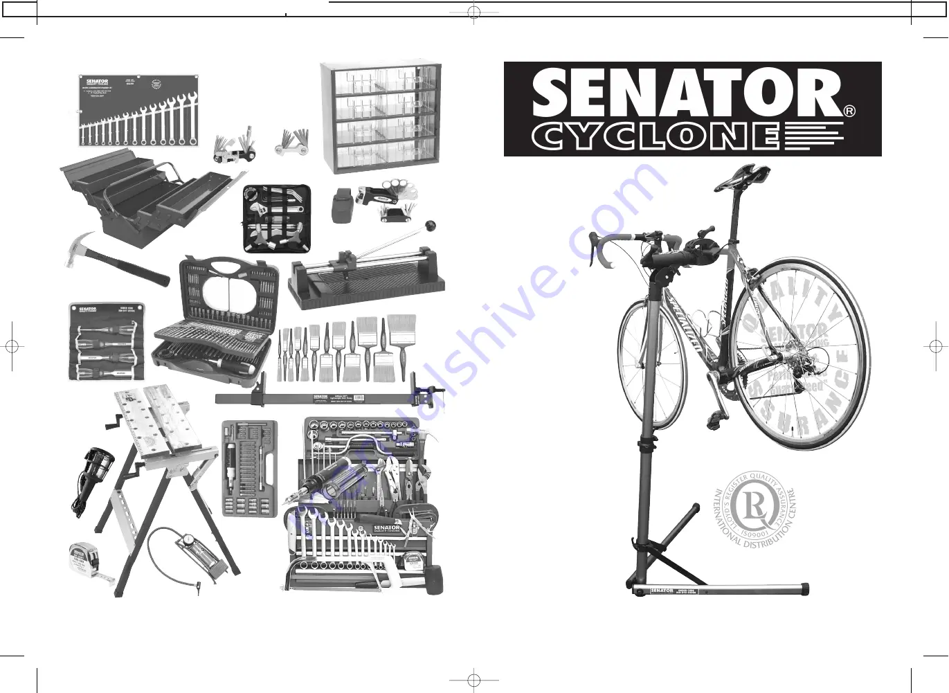 Senator CYCLONE CWS152 Instructions And Safety Manuallines Download Page 1