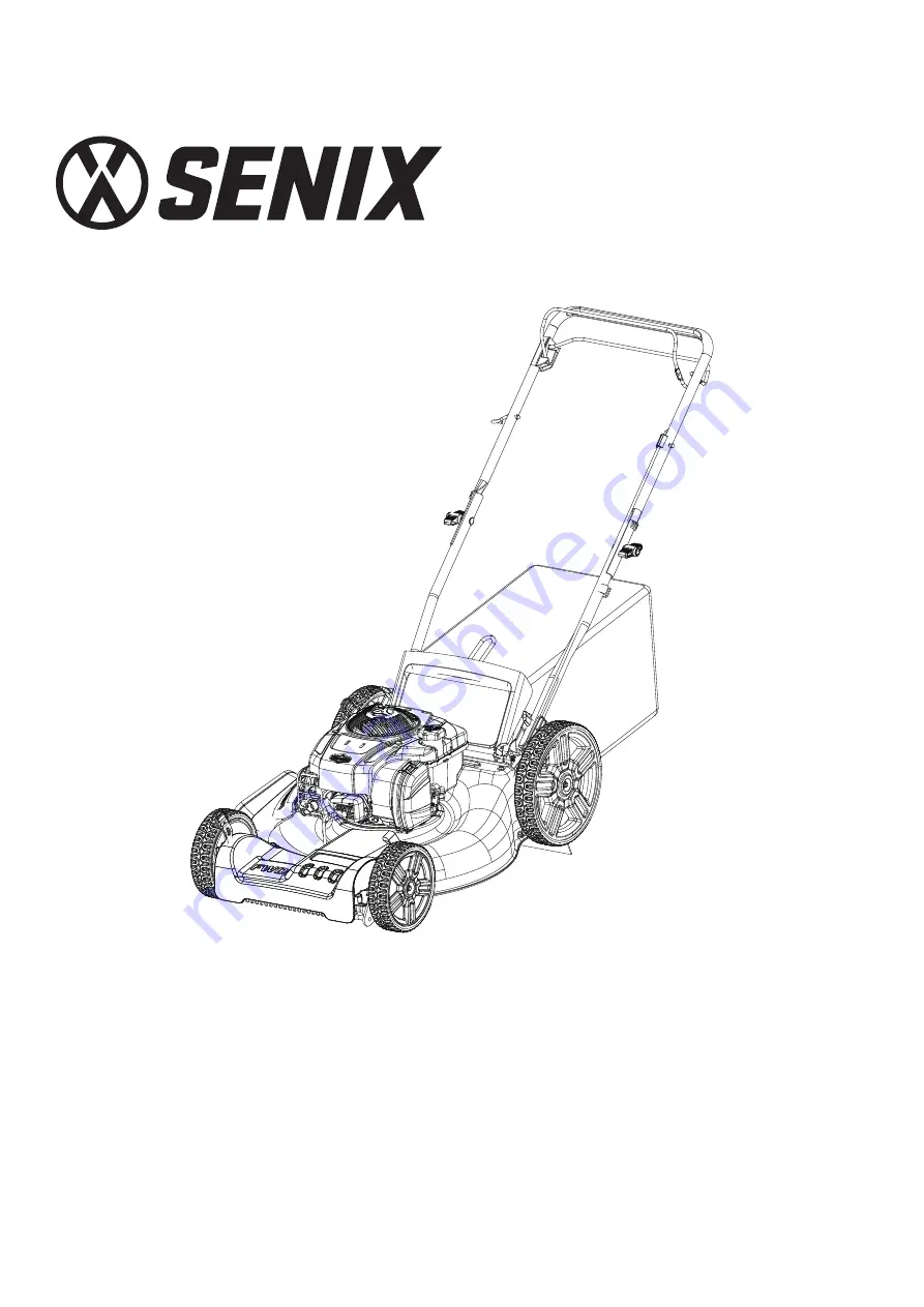 Senix LSSG-M1 Скачать руководство пользователя страница 19