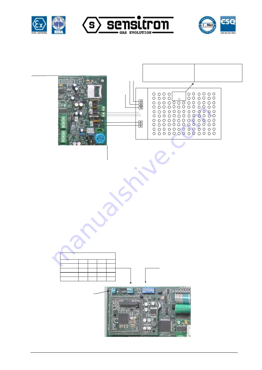 Sensitron MULTISCAN++S1 Скачать руководство пользователя страница 10